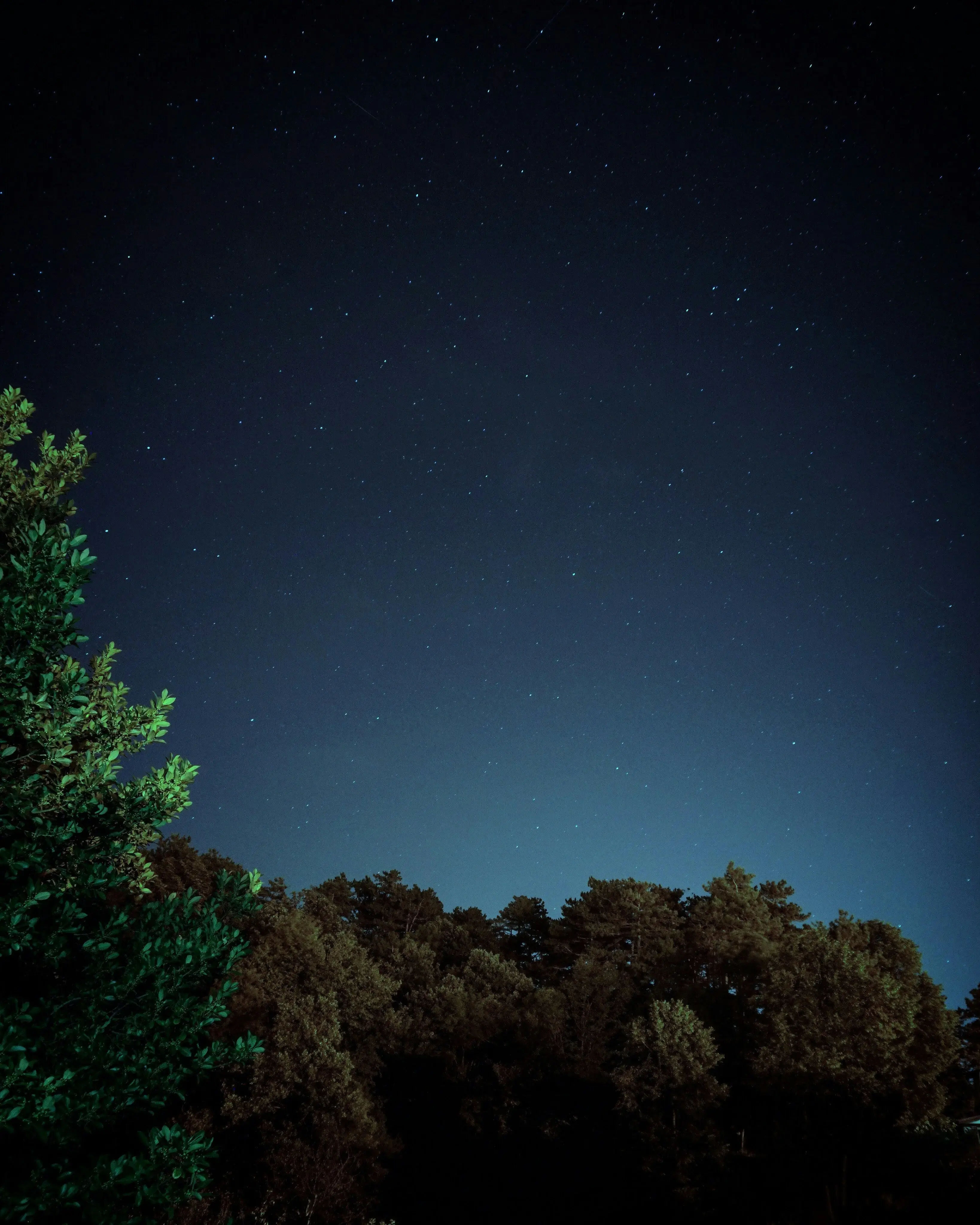 noche estrellada con un fondo oscuro, con estrellas brillantes y un cielo profundo
